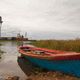 Sobre las olas - Ramallo Argentina