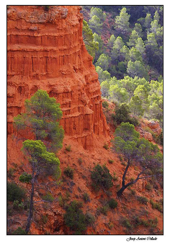 Sobrevivint a l'erosió - Surviving to the erosion