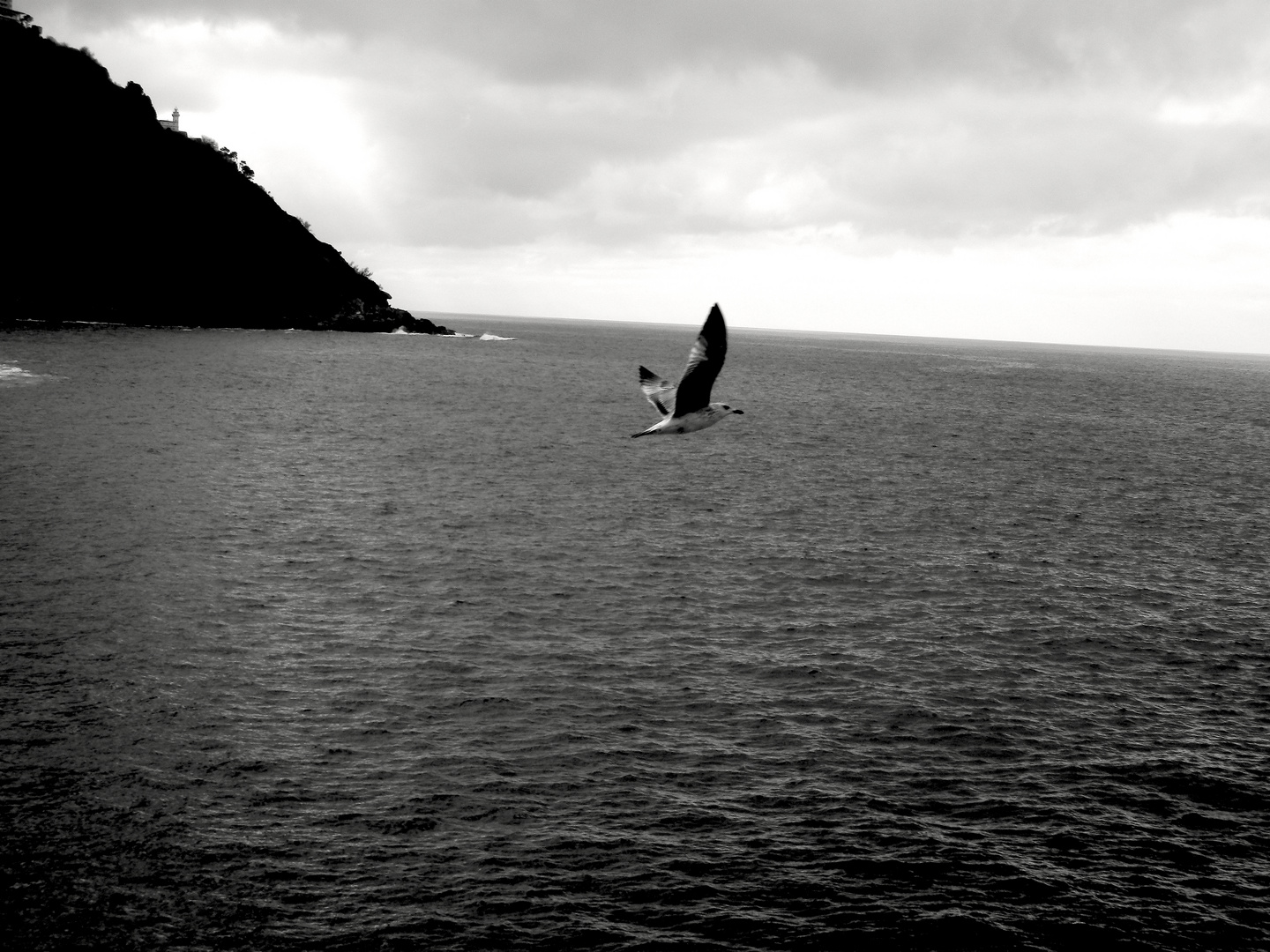 Sobrevolando el mar