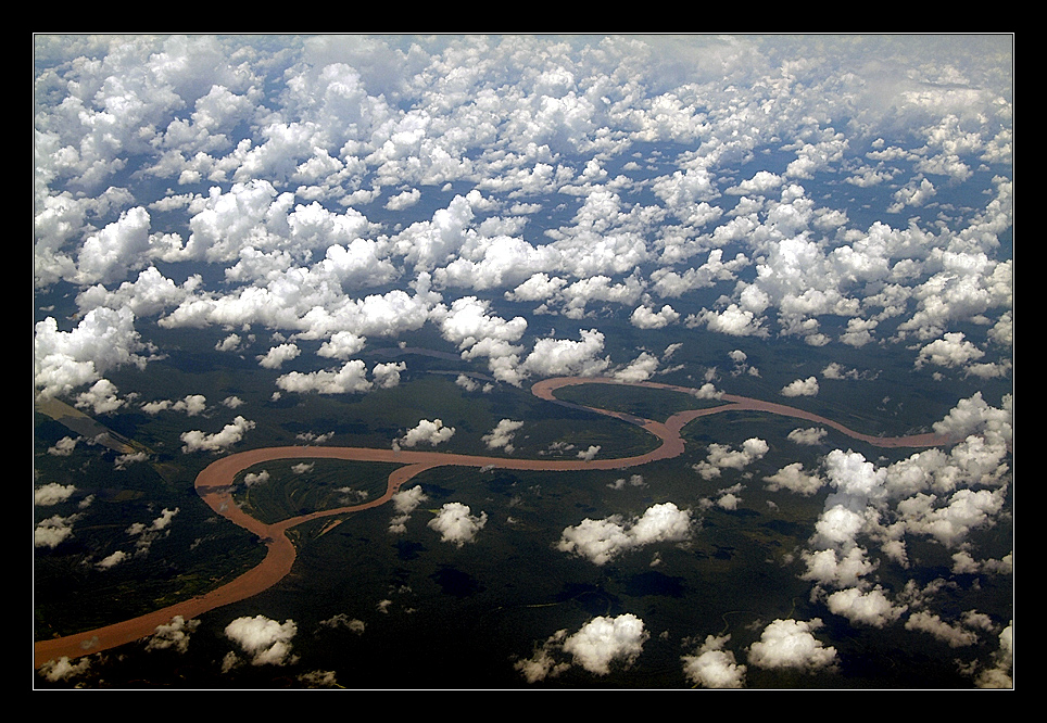 - sobrevolando la selva -