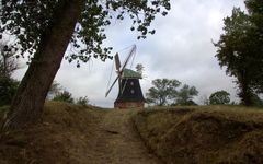 Sockelgeschossholländer in Stove