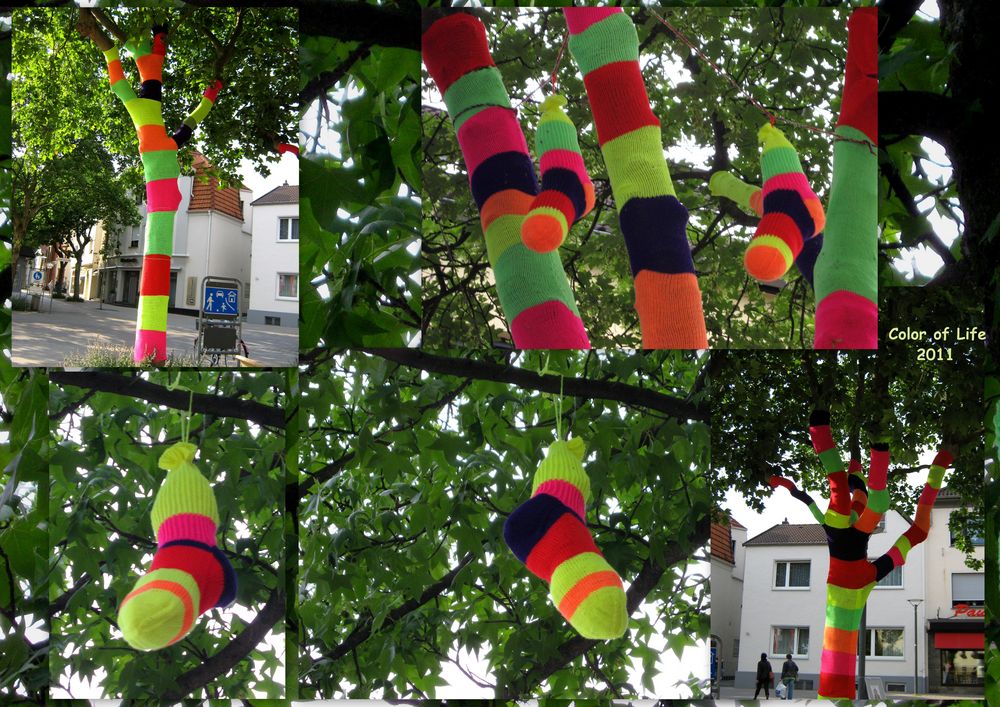 Socken im Baum – bestrickte Bäume