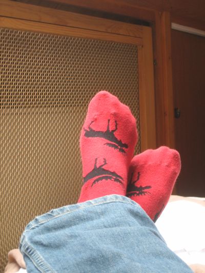 Socken - Paar 1