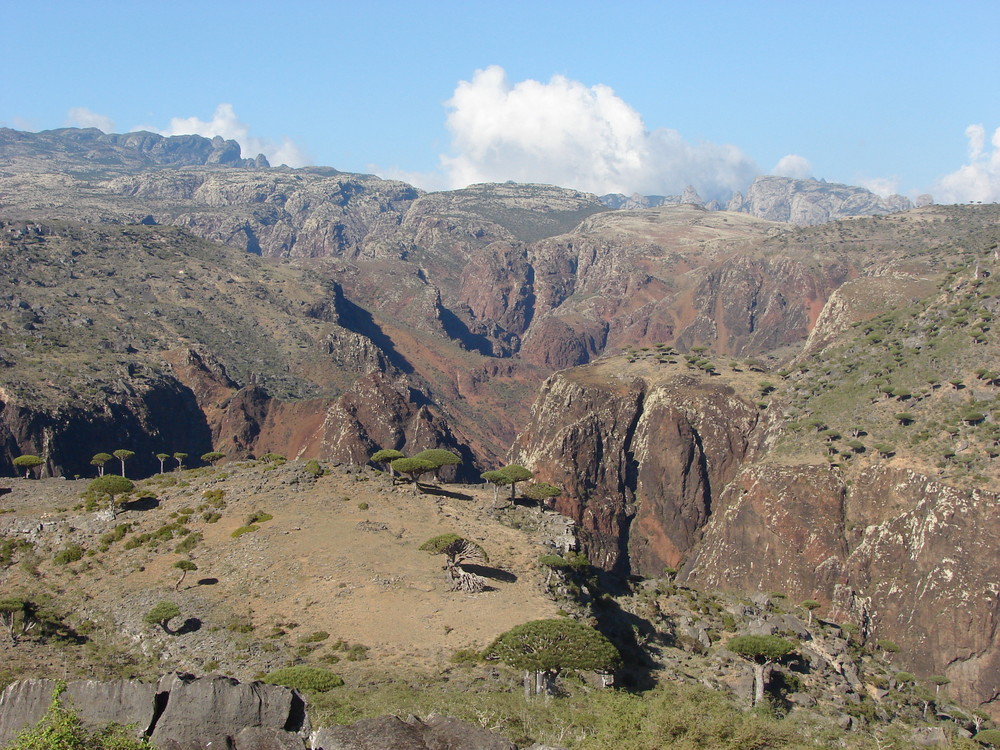 Socotra / Jemen