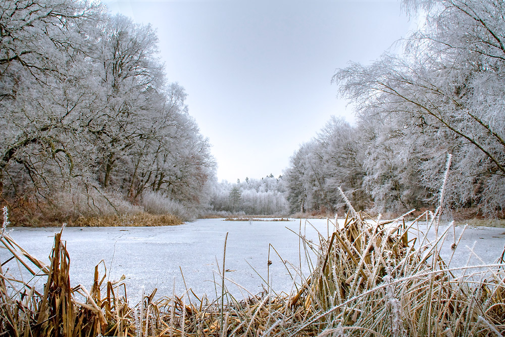 Sölkensee