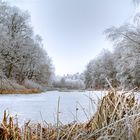 Sölkensee