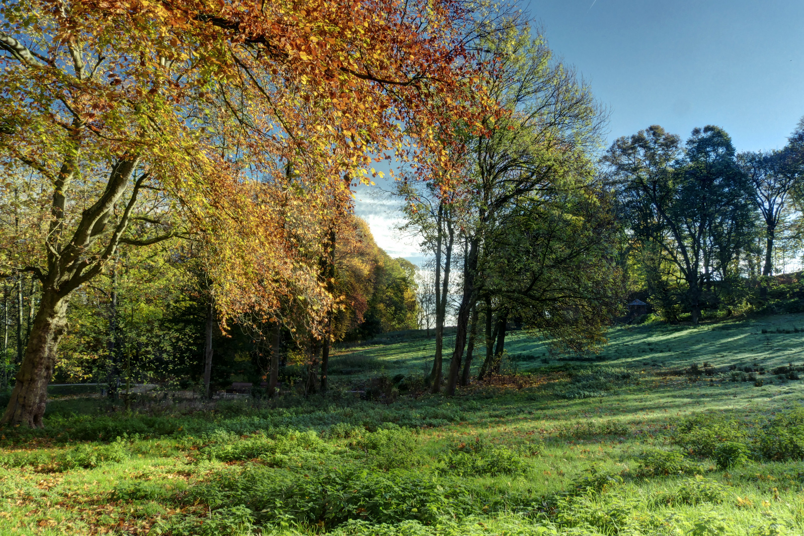 Soers im Herbst