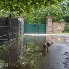 Soerser Burgtor mit Pfützenspiegelung