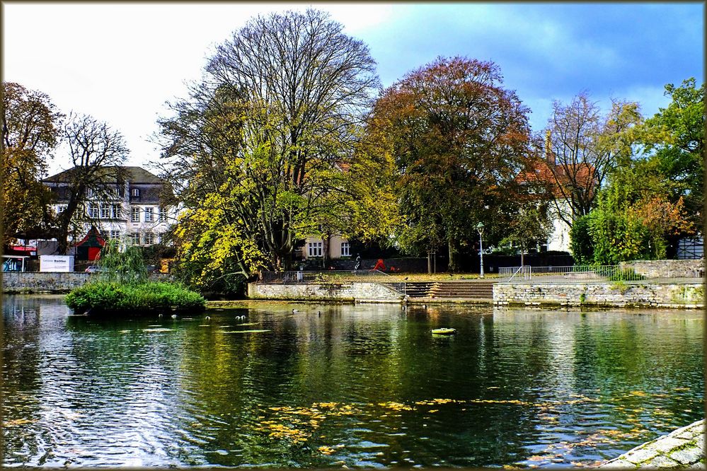 Soest "Am Großen Teich" im Herbst Foto & Bild landschaft