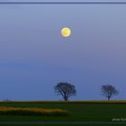 Soest - Soester Börde - blaue Stunde