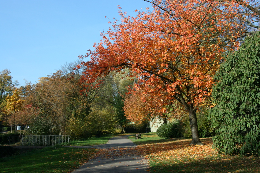 Soest - Wallspaziergang 4