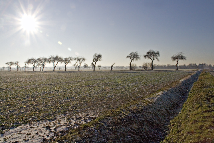 Soester Boerde (An der alten B1)