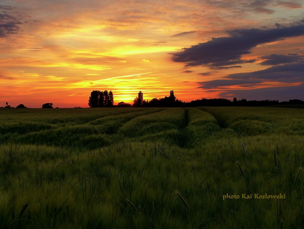 Soester-Börde Sonnenuntergang Mai 