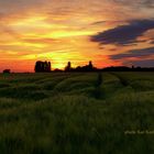 Soester-Börde Sonnenuntergang Mai 