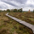 Soesterberg - Landgoed De Paltz - 01