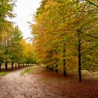 Soesterberg - Landgoed De Paltz - 02