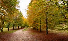 Soesterberg - Landgoed De Paltz - 02