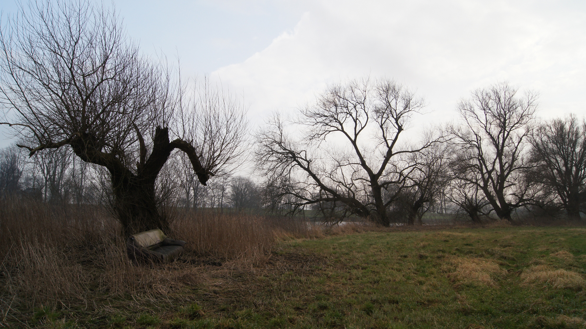 Sofa unterm Baum