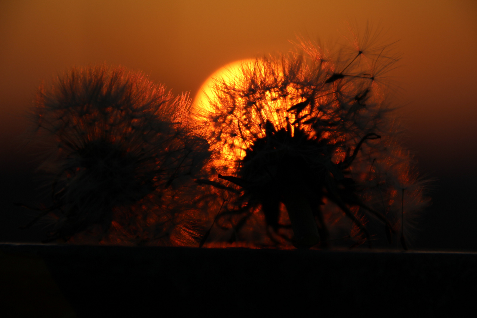 soffioni al tramonto