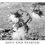 Soft and Peakish