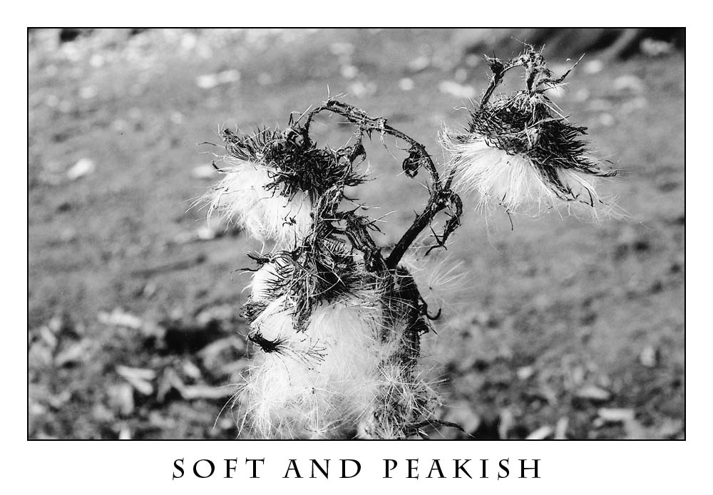 Soft and Peakish