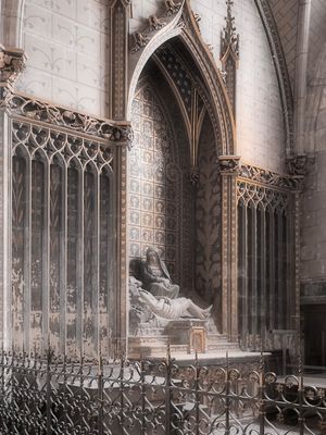 Soft as light could be P5200608