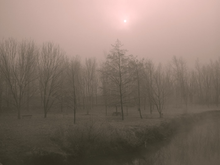 Soft fog