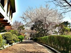 Sogang University, Mapo-gu, Seoul