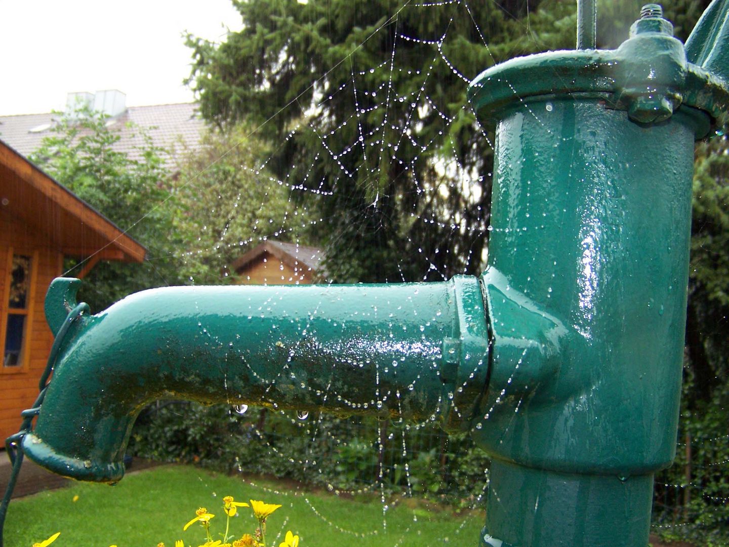 Sogar bei dem Starkregen kann sich das Spinnnetz an der Pumpe halten