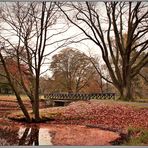 Sogar bei feuchtem Herbstwetter