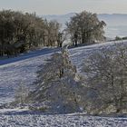 Sogar der Ralsko ganz links ist noch zu sehen von der Naklerowska vysina (Nollendorfer Höhe)...