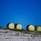 Sogar die Strohballen friert's...