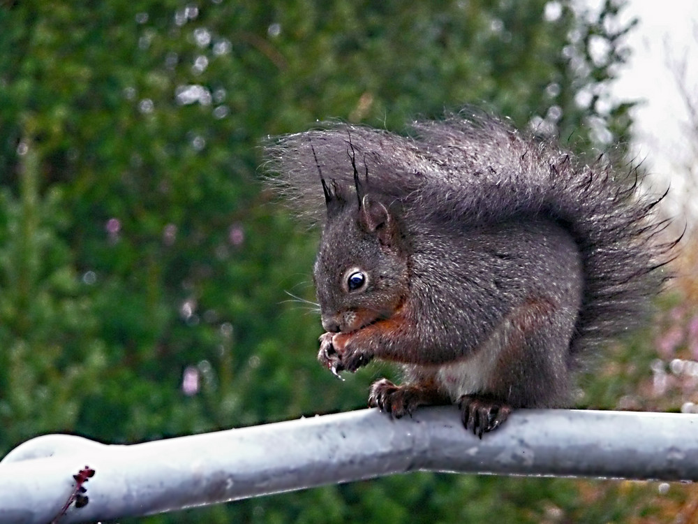 sogar im Regen