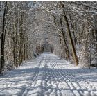 Sogar Ski wurde gelaufen