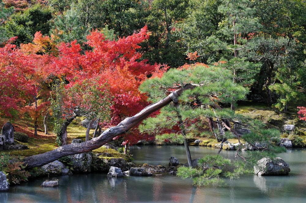 Sogenchi Garden Kyoto 2