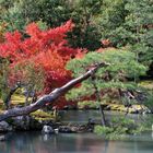 Sogenchi Garden Kyoto 2