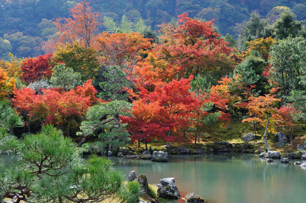 Sogenchi Garden Kyoto