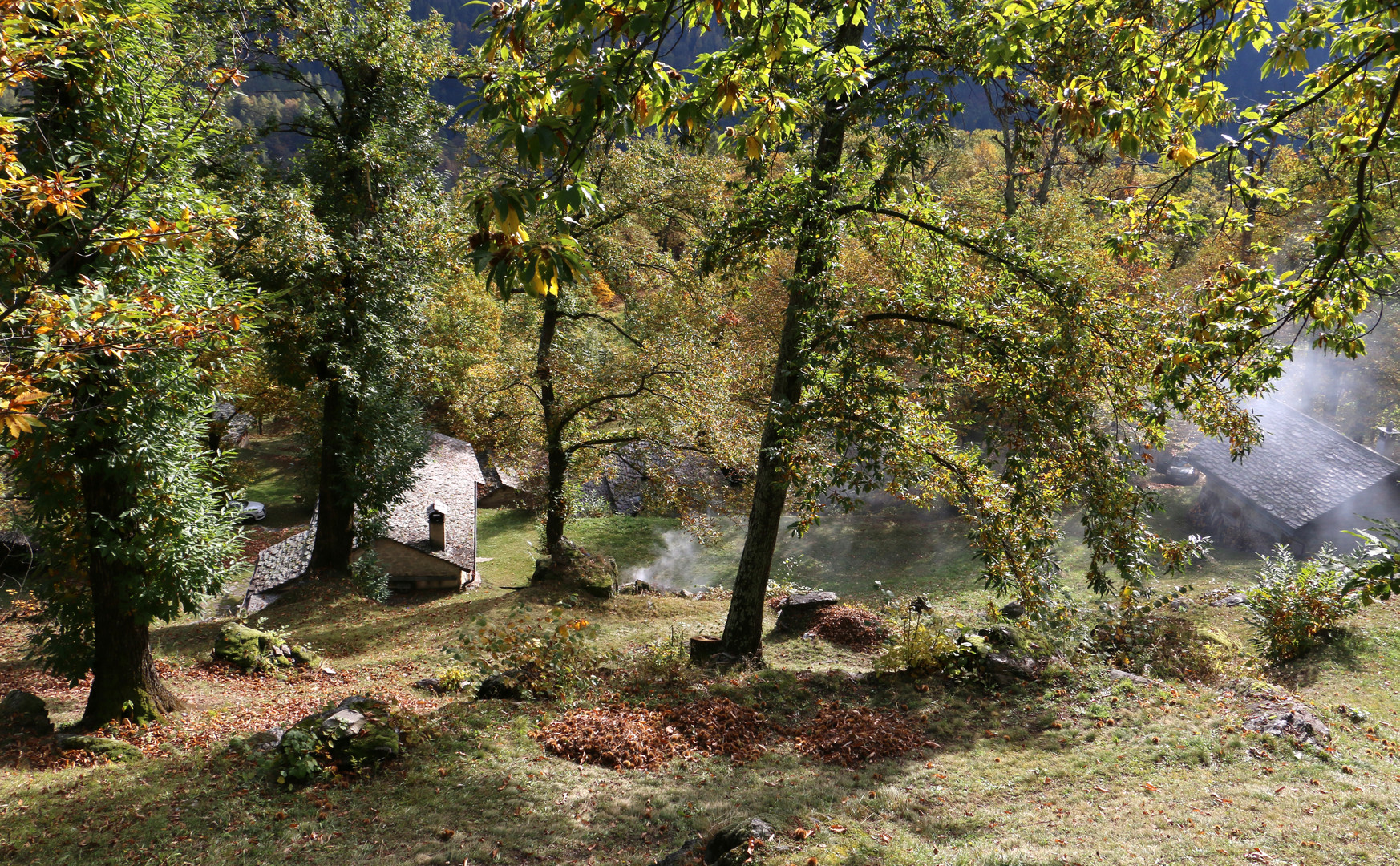 Soglio, das idyllische Dorf der Edelkastanien