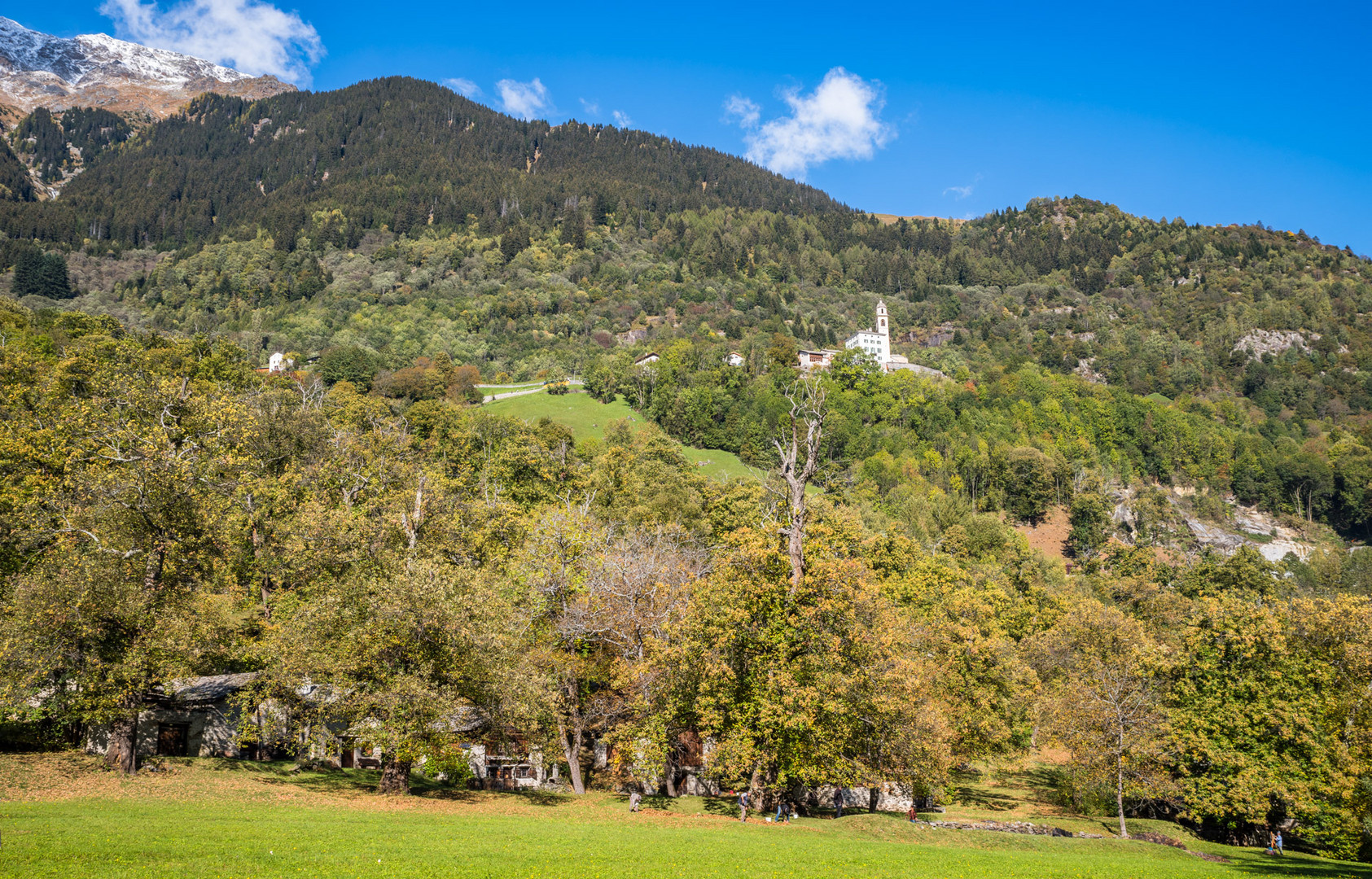 Soglio im Bergell zur Zeit der Kastanienernte