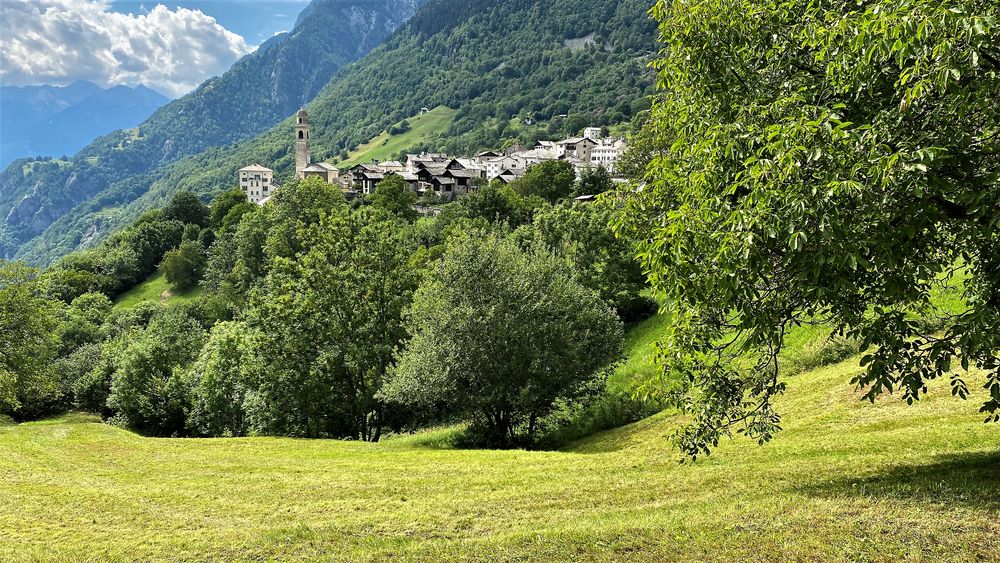 Soglio umgeben von Nussbäumen