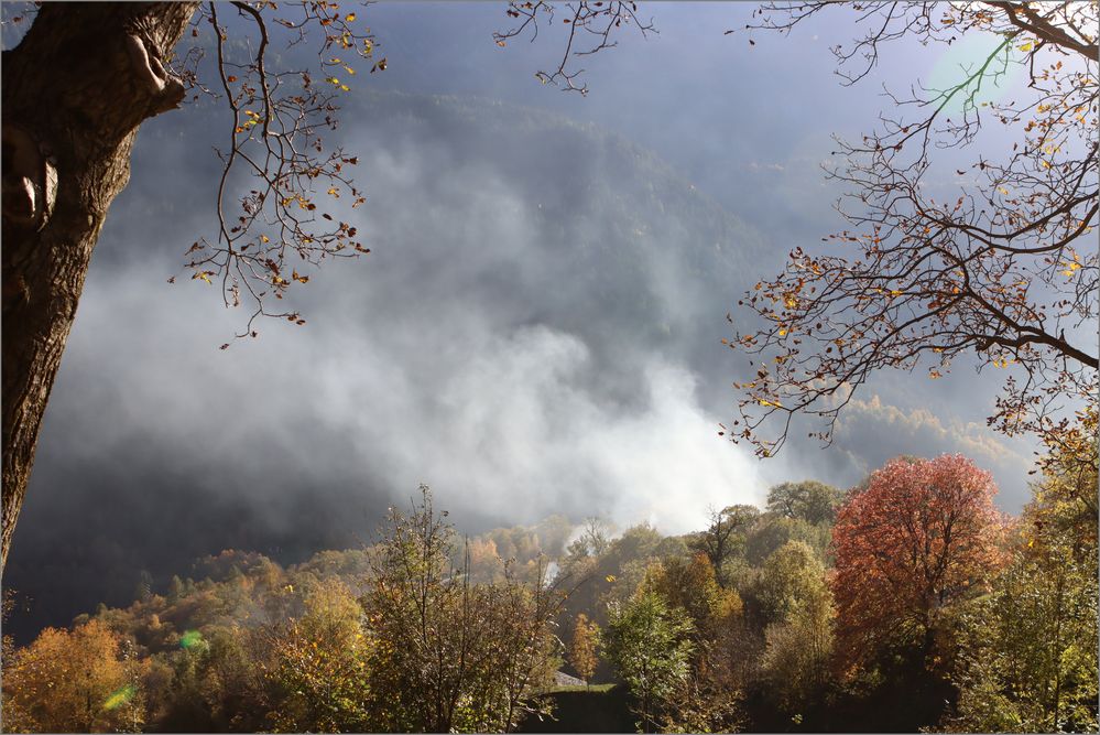 Soglio und seine Kastanien