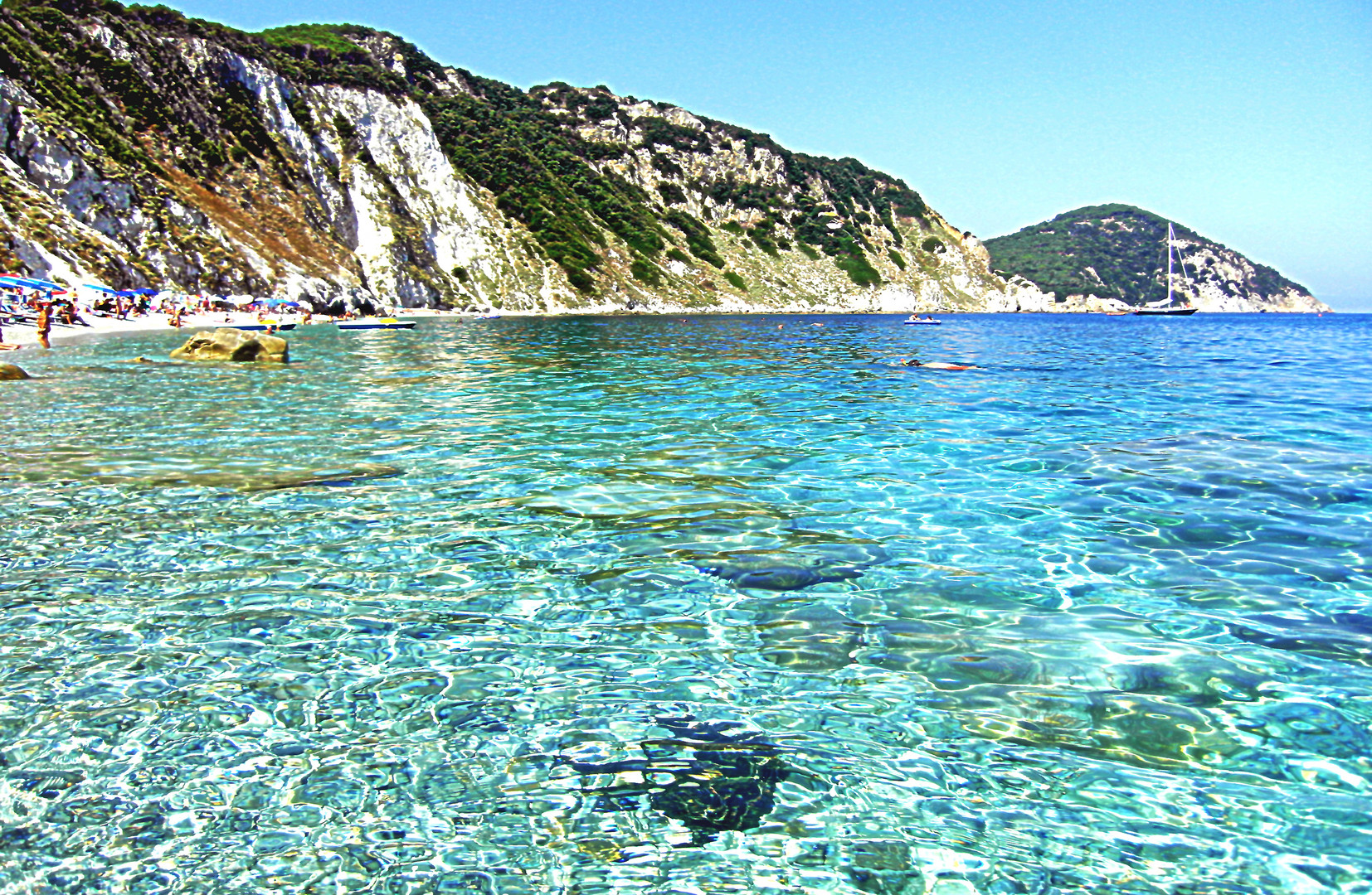 Sognando i Caraibi: Elba-Sansone, ancora Sansone...