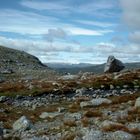 sognefjel in südnorwegen