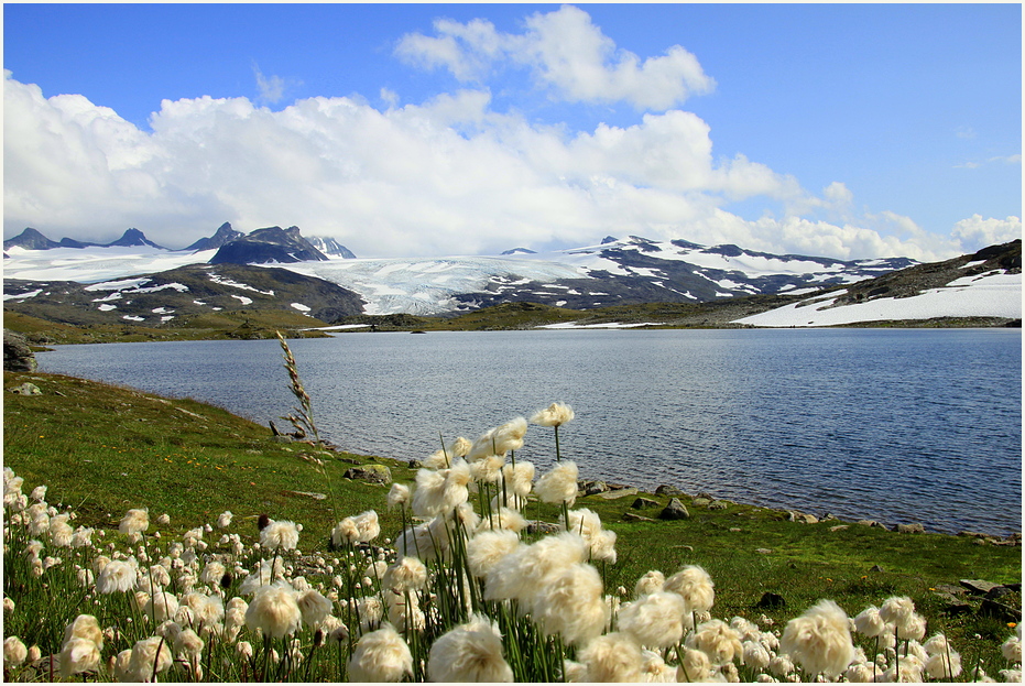 Sognefjell