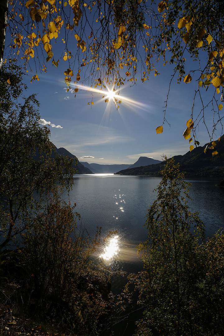 ***Sognefjord***