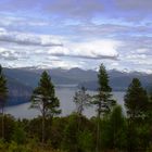 Sognefjord, Norwegen