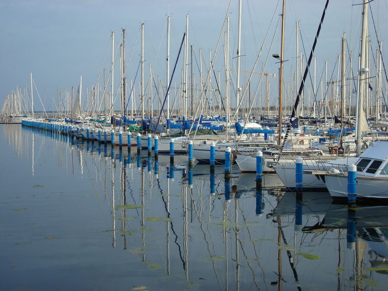 Sogno di mezza estate