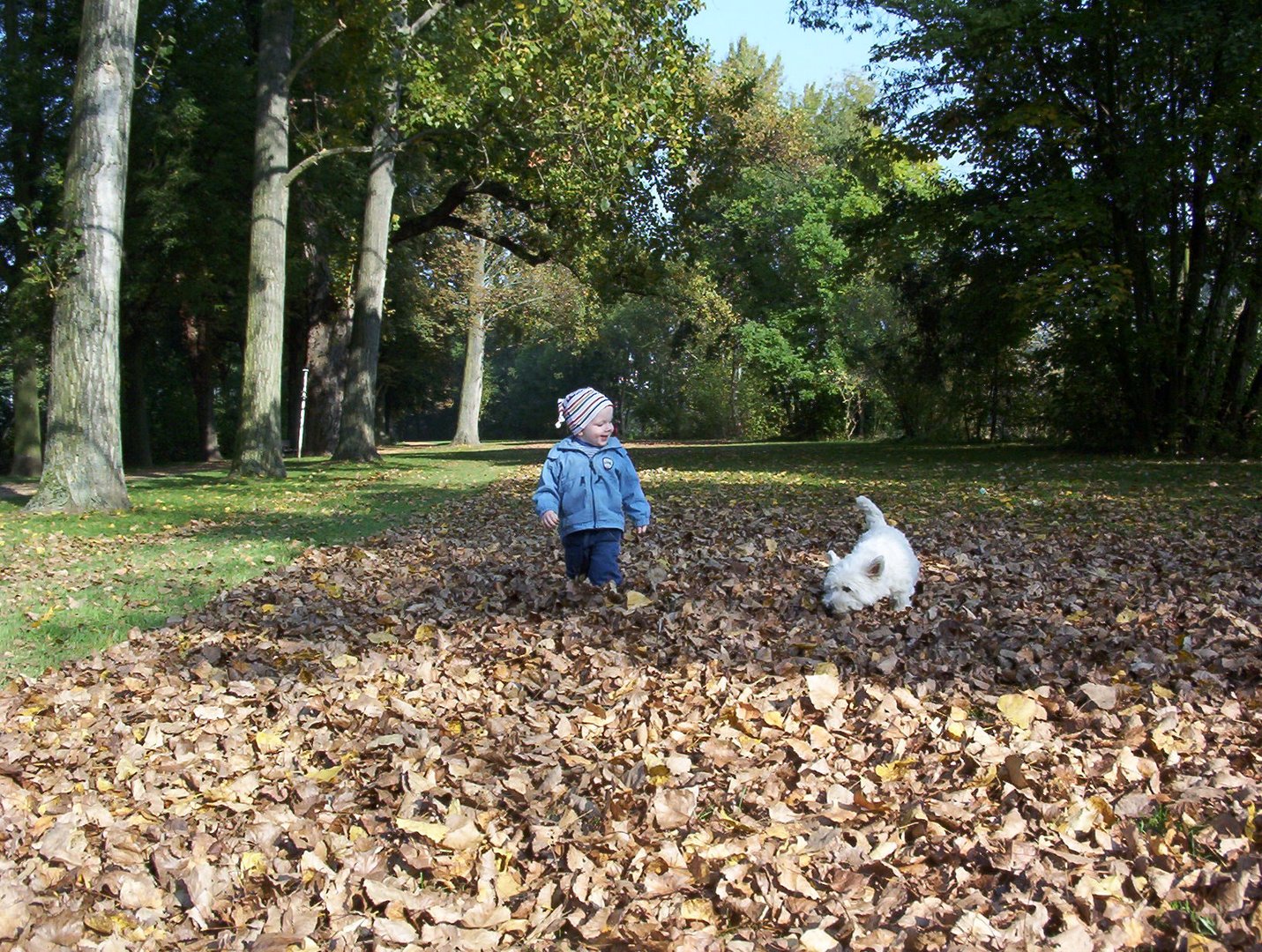 sohn mit hund