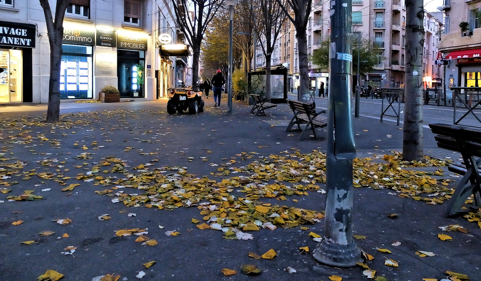 Soir d'automne