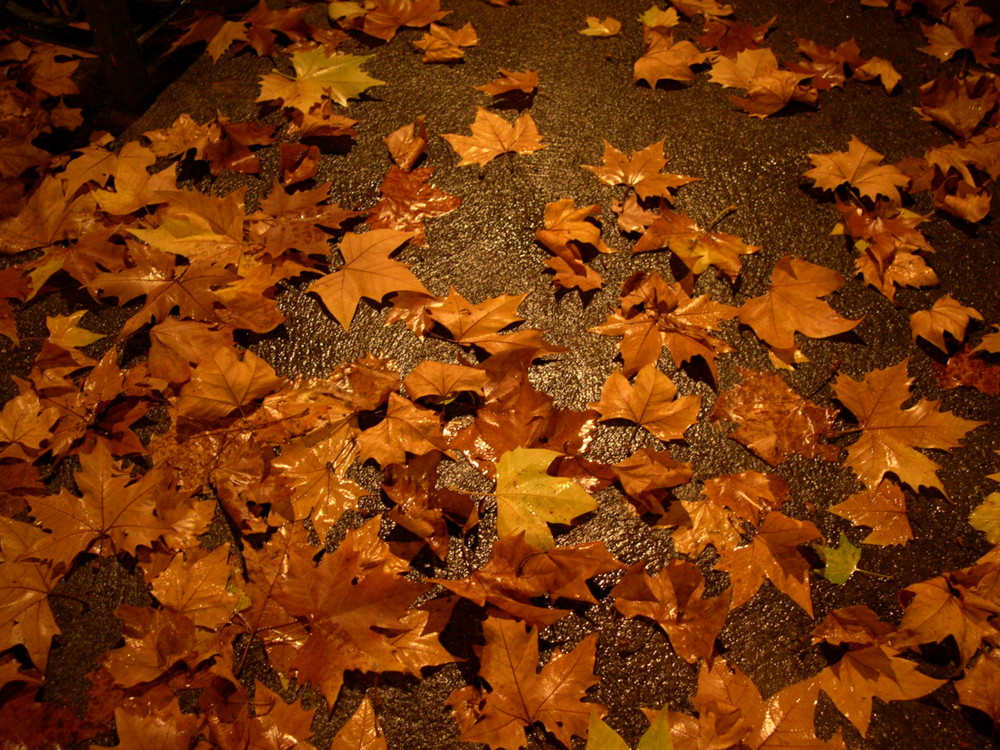 soir de pluie